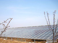 山東5MW光伏大棚